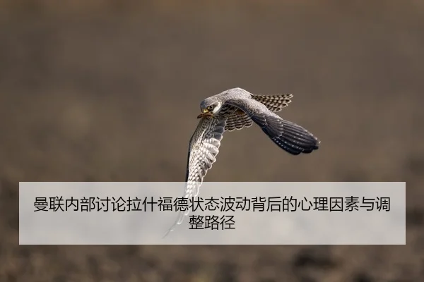 曼联内部讨论拉什福德状态波动背后的心理因素与调整路径
