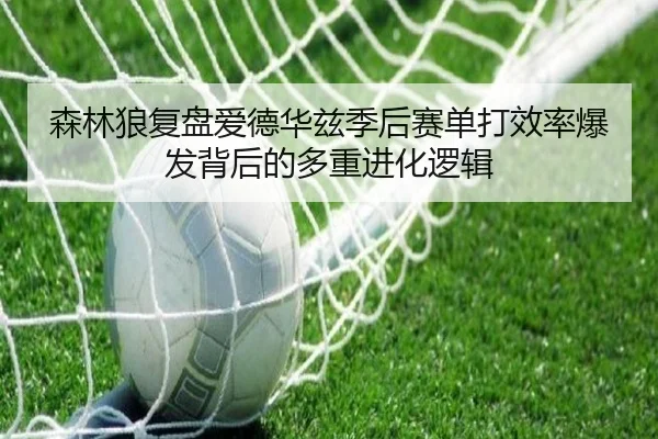 森林狼复盘爱德华兹季后赛单打效率爆发背后的多重进化逻辑