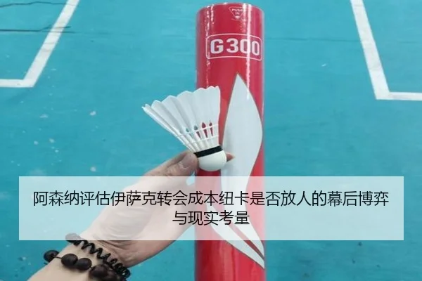 阿森纳评估伊萨克转会成本纽卡是否放人的幕后博弈与现实考量